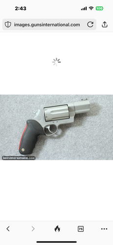 Wanted/ISO-Taurus Raging Bull model 513