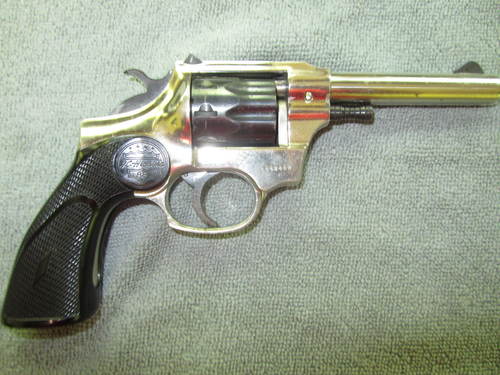 22 LR pistol 9 shot, double action