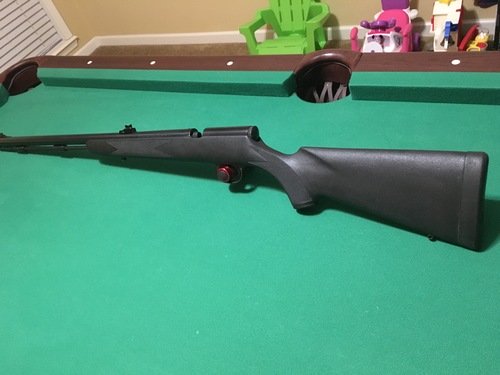 50 Cal. Thunderhawk Muzzle Loader 