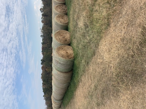 Hay for sale! text or call